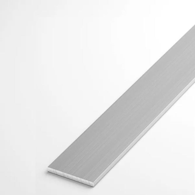 Штанга плоская 20*2 ШПл 01,2000,500