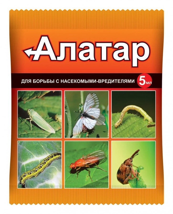 3400c4ebe69b11ed86023c4a9274cc32_d7a33090e81411ed86023c4a9274cc32