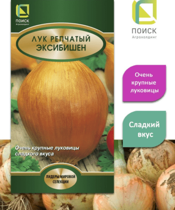 СЕМЕНА ЛУК РЕПЧАТЫЙ "ЭКСИБИШЕН" "ПОИСК"