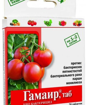 Гамаир (овощи) 20 таблеток в коробочке "АБТ Групп"